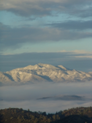 Product picture Dobro Duet